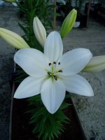 [1695 WhiteSound DJ No01.JPG]